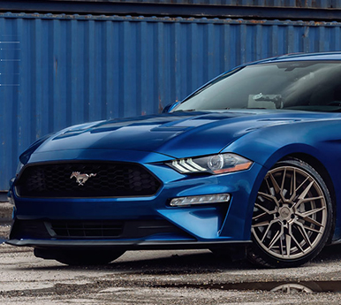 Dealer Niche Indonesia